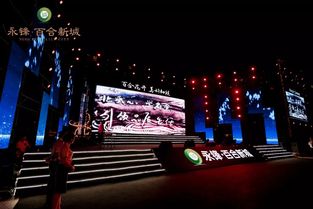 永鋒·百合新城璀璨亮相，龐龍獻(xiàn)唱引爆武城文化新篇章