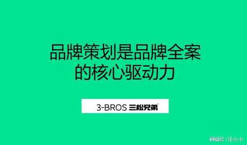 品牌策劃 構(gòu)筑品牌全案的靈魂與引擎