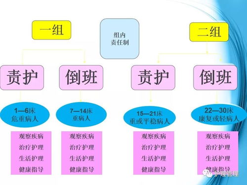 精細(xì)化護理管理與服務(wù)實踐的探索及技術(shù)推廣路徑